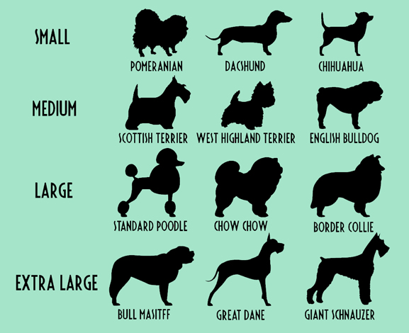 Dog Size Classification Chart